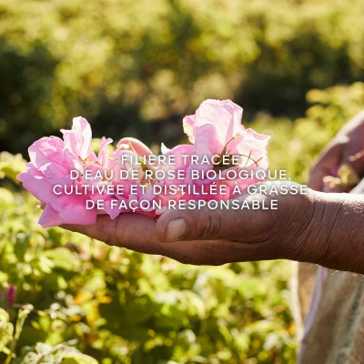 Guerlain Aqua Allegoria Harvest Rosa Rossa Eau De Toilette - Image 5