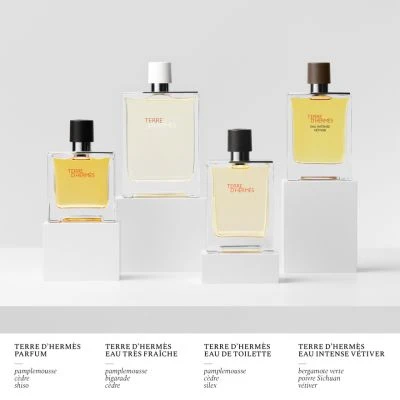Terre D'Hermès Eau De Toilette - Image 6