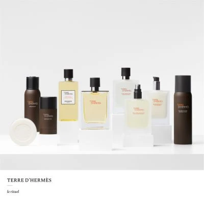 Terre D'Hermès Eau De Toilette - Image 7