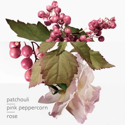 Twilly D'Hermès Eau Poivrée Eau De Parfum - Image 4