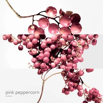 Twilly D'Hermès Eau Poivrée Eau De Parfum - Image 5