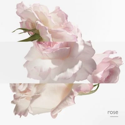 Twilly D'Hermès Eau Poivrée Eau De Parfum - Image 6